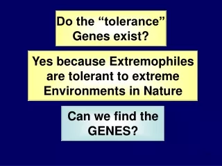 Do the “tolerance” Genes exist?
