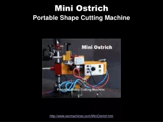 Mini Ostrich Portable Shape Cutting Machine