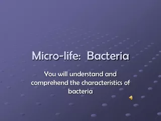 Micro-life:  Bacteria