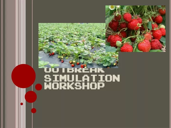 foodborne illness outbreak simulation workshop