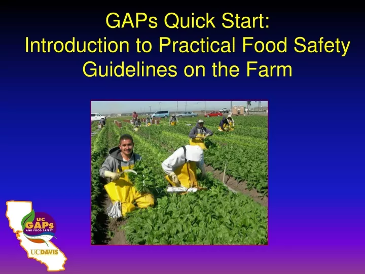 gaps quick start introduction to practical food