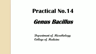 Practical No.14 Genus Bacillus