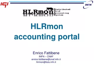 HLRmon  accounting portal