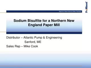 Sodium Bisulfite for a Northern New England Paper Mill