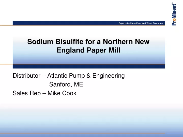 sodium bisulfite for a northern new england paper mill