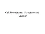 Cell Membrane:  Structure and Function - slide 1