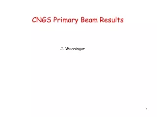 CNGS Primary Beam Results