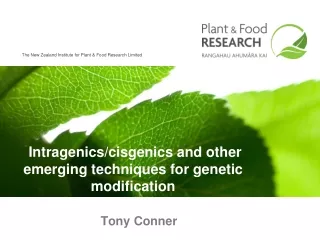 Intragenics/cisgenics and other emerging techniques for genetic modification
