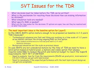 SVT Issues for the TDR