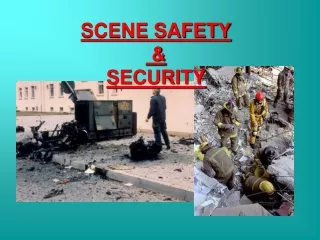 SCENE SAFETY  &amp;  SECURITY