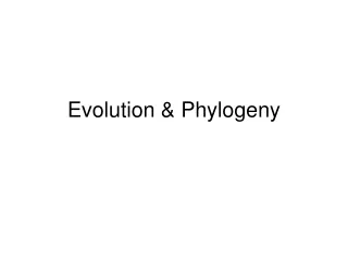Evolution &amp; Phylogeny