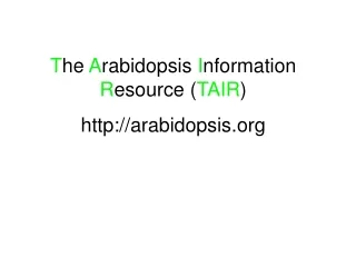T he  A rabidopsis  I nformation  R esource ( TAIR ) arabidopsis