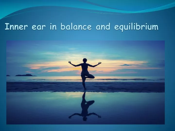 inner ear in balance and equilibrium