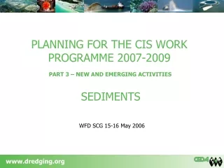 PLANNING FOR THE CIS WORK PROGRAMME 2007-2009 PART 3 – NEW AND EMERGING ACTIVITIES SEDIMENTS