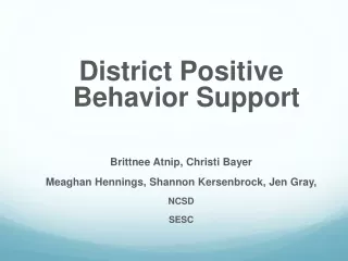 District Positive  Behavior  Support Brittnee Atnip , Christi Bayer