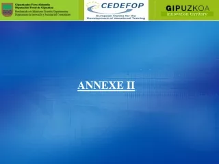 ANNEXE II