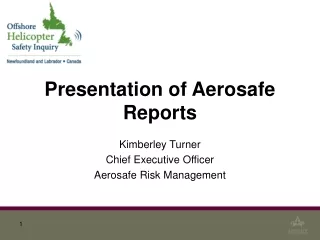 Presentation of Aerosafe Reports