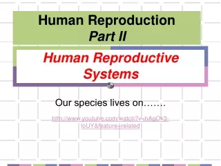Human Reproductive Systems