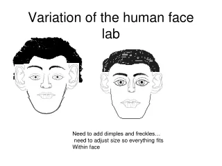 Variation of the human face lab