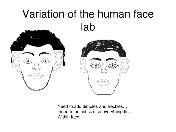 variation of the human face lab