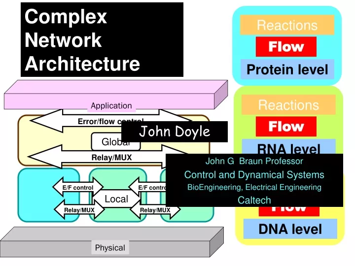 complex network architecture