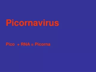 Picornavirus Pico  + RNA = Picorna