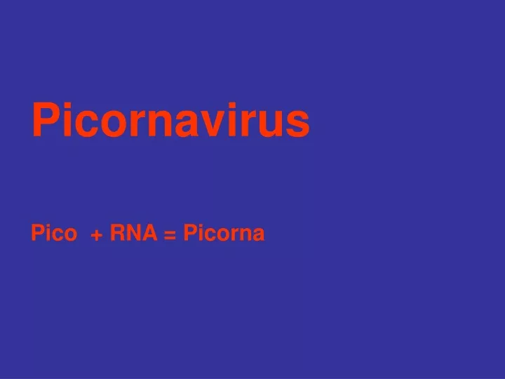picornavirus pico rna picorna