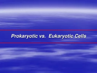 Prokaryotic vs.  Eukaryotic Cells