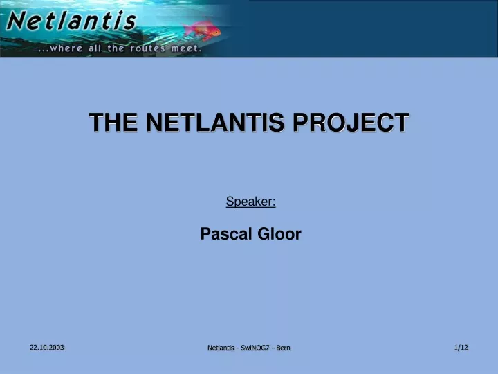 the netlantis project