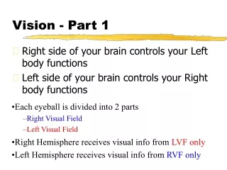 Vision - Part 1