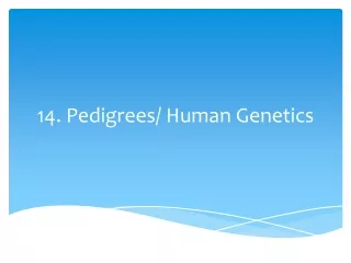 14. Pedigrees/ Human Genetics