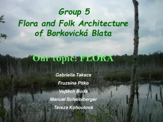 Group 5 Flora and Folk Architecture of Borkovická Blata Our topic: FLORA