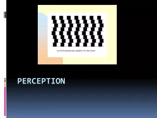 Perception