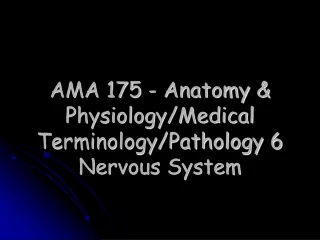 AMA 175 - Anatomy &amp; Physiology/Medical Terminology/Pathology 6  Nervous System