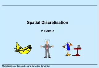 Spatial Discretisation V. Selmin