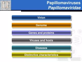 Papillomaviruses Papillomaviridae