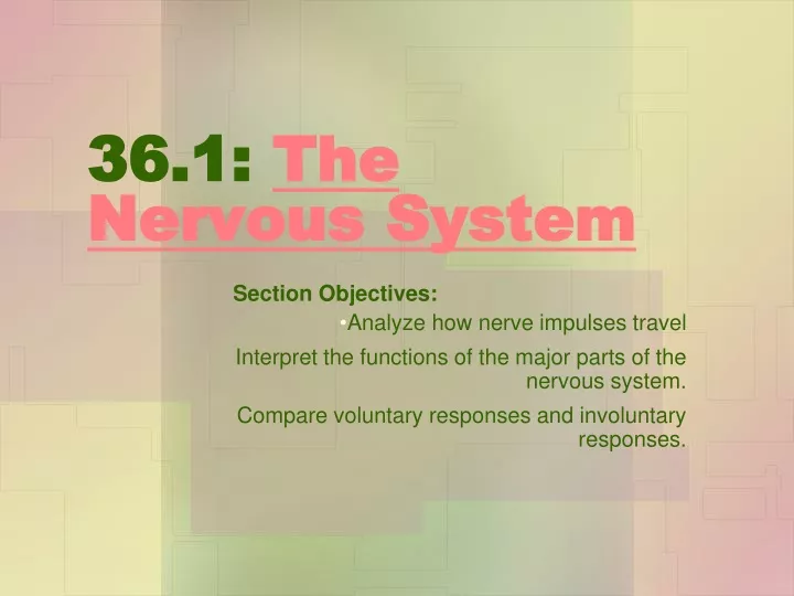 36 1 the nervous system