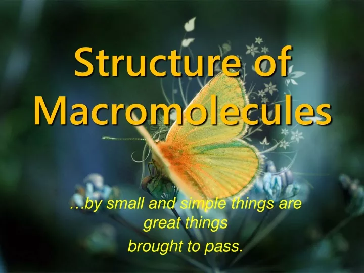 structure of macromolecules