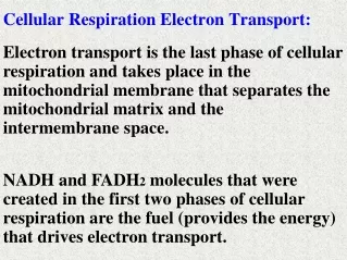 Cellular Respiration Electron Transport: