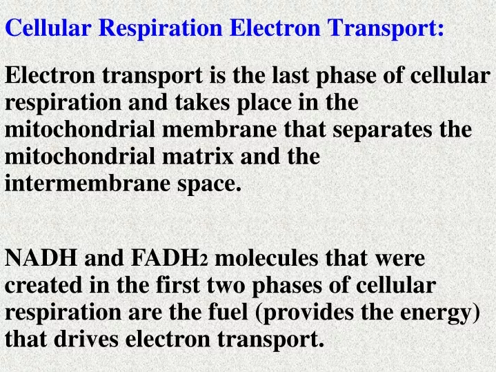 cellular respiration electron transport