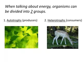 When talking about energy, organisms can be divided into  2  groups.