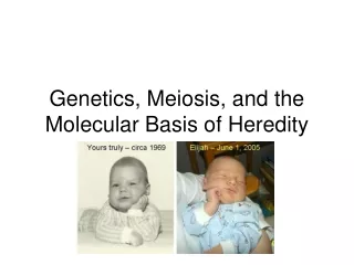 Genetics, Meiosis, and the Molecular Basis of Heredity