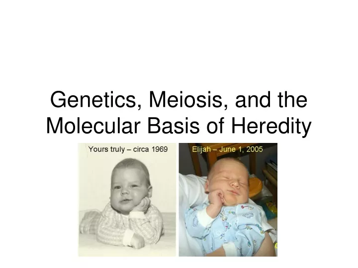 genetics meiosis and the molecular basis of heredity