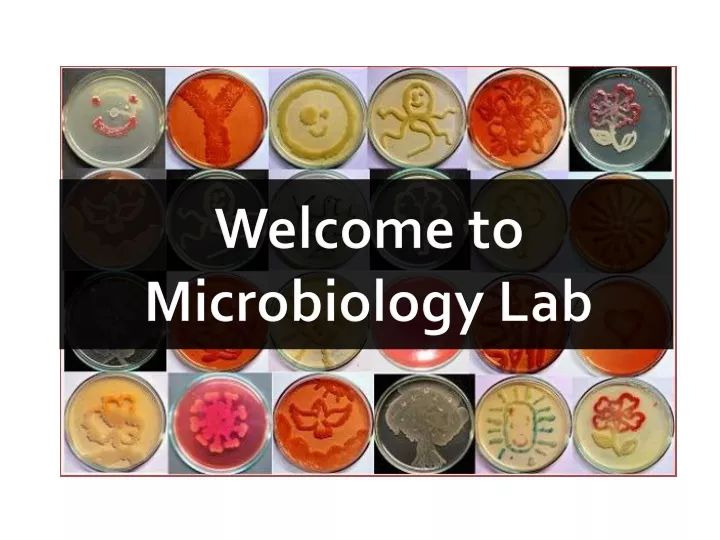 welcome to microbiology lab