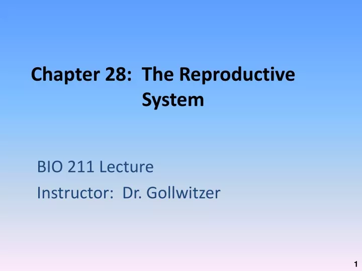 chapter 28 the reproductive system