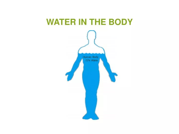 water in the body