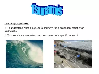 Tsunamis