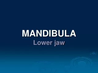 MANDIBULA Lower jaw