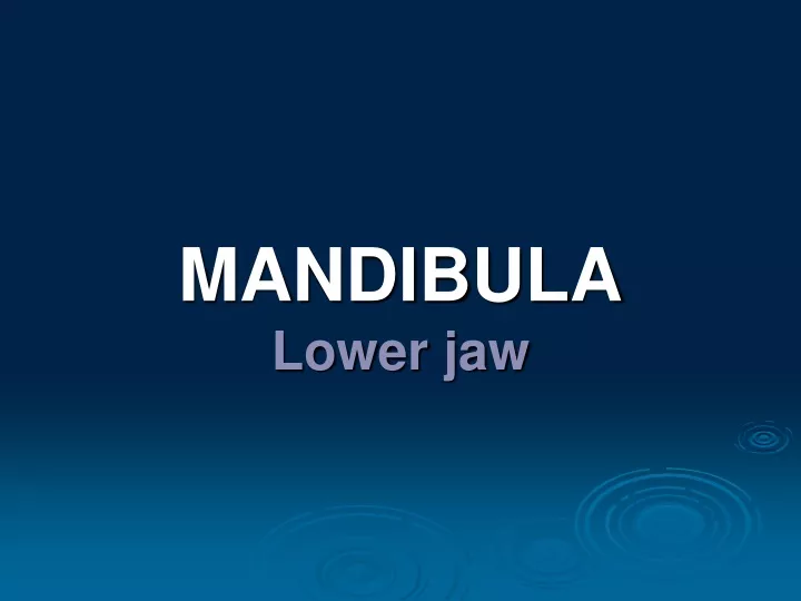 mandibula lower jaw