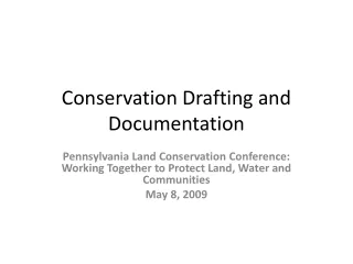 Conservation Drafting and Documentation